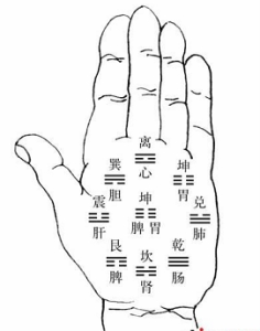 八卦派手面相学