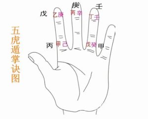 学八字：必背基础硬知识