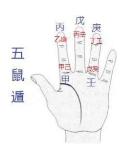 学八字：必背基础硬知识