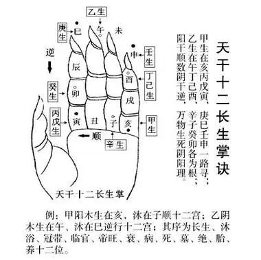 学八字：必背基础硬知识